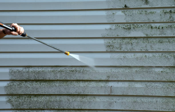 Trusted Lake Of The Woods, IL Pressure Washing Experts