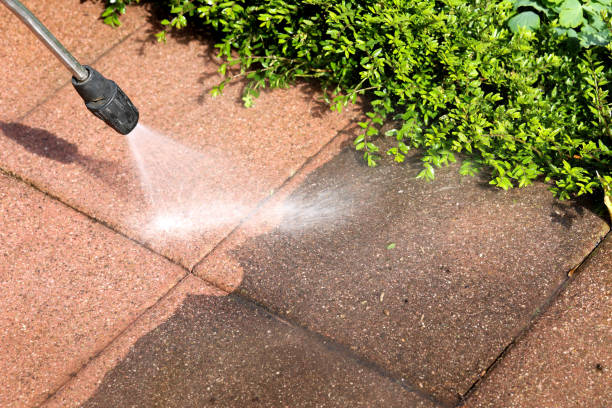 Best Deck Cleaning Services  in Lake Of The Woods, IL